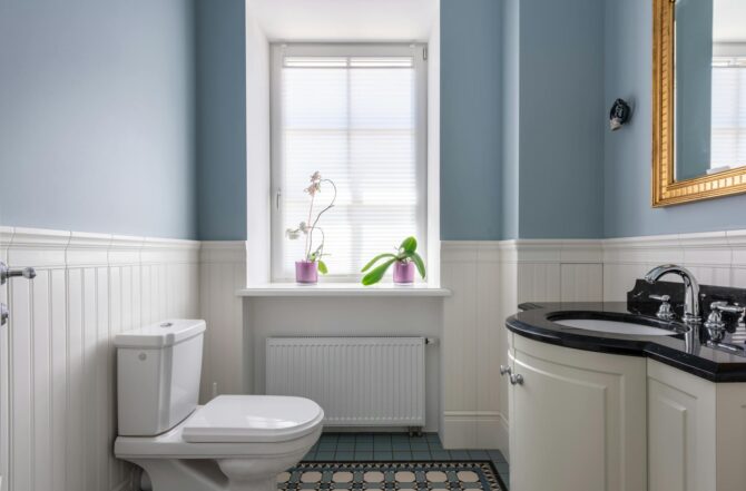 Desentupidora de vaso